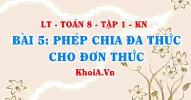 Cách chia đa thức cho đơn thức, đơn thức cho đơn thức? Ví dụ? Toán 8 bài 5 kn1c1b5